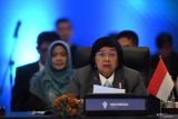 Indonesia must align land inventory method with EUDR: Minister