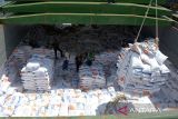 Buruh pelabuhan membongkar beras impor dari kapal kargo berbendera Vietnam  di Pelabuhan Malahayati, Krueng Raya, Kabupaten Aceh Besar, Aceh, Rabu  (11/10/2023). Pemerintah memberikan tambahan kuota penugasan impor beras  kepada Perum Bulog sebanyak 1,5 juta ton untuk memperkuat cadangan beras pemerintah (CBP) dan menstabilkan harga beras di pasaran,  sementara stok beras pada Bulog hingga Minggu pertama Oktober 2023  mencapai 1,7 juta ton. ANTARA FOTO/Ampelsa.