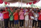 Ketua DPRD Lampung dampingi Ketua Komisi IV DPR RI panen raya padi MSP di Tulangbawang Barat