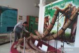 Pemkab Kudus  kenalkan dua museum lewat pameran keliling