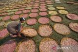 Pekerja menjemur kerupuk di desa Kenanga, Indramayu, Jawa Barat, Kamis (12/10/2023). Menurut pengusaha, produksi kerupuk selama kemarau meningkat hingga 70 persen dari 100 kg per hari menjadi 170 kg per hari karena didukung cuaca panas yang memaksimalkan proses pengeringan. ANTARA FOTO/Dedhez Anggara/agr
