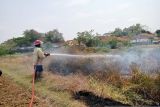 Orang gila bakar lahan, petugas kelabakan padamkan