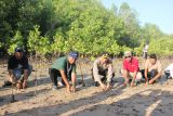 Polda NTT dan jurnalis tanam 1.870 mangrove peringati HUT Humas Polri