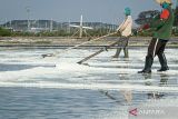 Petani memanen garam di kawasan Benowo, Surabaya, Jawa Timur, Jumat (13/10/2023). Fenomena El Nino membuat hasil panen garam di kawasan tersebut meningkat dari rata-rata 30 karung per petak menjadi 90 karung per petak. ANTARA Jatim/Mega Tokan/Zk