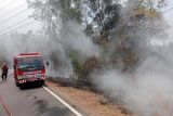 Damkar Lampung Selatan padamkan kebakaran lahan di Bakauheni