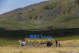 Pengunjung saling bercengkerama dengan latar savana Gunung Bromo di Bukit Teletubbies, Probolinggo, Jawa Timur, Senin (16/10/2023). Kawasan tersebut mulai ditumbuhi vegetasi sehingga terlihat hijau kembali setelah terbakar pada Rabu (6/9) dan padam pada Kamis (14/9). ANTARA FOTO/Muhammad Mada/wsj.