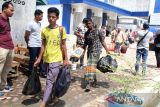 Pengungsi etnis Rohingya berjalan menuju tempat penampungan sementara di Gedung SKB Bireuen, Aceh, Senin (16/10/23). Sebanyak 36 orang pengungsi etnis Rohingya, terdiri dari 14 orang laki-laki, 12 orang perempuan dan 10 orang anak-anak ditemukan terdampar di perairan laut Matang Pasi, Kecamatan Peudada Kabupaten Bireuen, Aceh. ANTARA/Rahmad