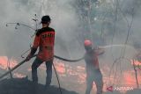 Karhutla hanguskan 20 hektare lahan di Kabupaten OKU