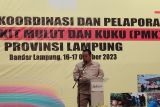 Gubernur Lampung mengajak semua pihak kendalikan kasus PMK