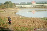 Warga melintas di area Waduk Bunder di Gresik, Jawa Timur, Rabu (18/10/2023). Akibat musim kemarau panjang menyababkan Waduk Bunder mengalami penyusutan air dari ketinggian air delapan meter menjadi 50 sehingga lahan persawahan dan tambak di wilayah Gresik terancam gagal tanam dan gagal panen.  ANTARA Jatim/Mega Tokan/zk