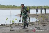 Prajurit  Babinsa Kodam Iskandar Muda bersama warga menanam bibit manggrove di pantai Syiah KJuala, Banda Aceh, Aceh, Rabu (18/10/2023).  Penanaman ribuan bibit manggrove melalui program pembinaan lingkungan hidup tahun anggaran 2023 di kawasan yang terdampak abrasi itu untuk pemulihan ekosistem kawasan hutan pesisir serta peningkatan kualitas lingkungan. ANTARA FOTO/Ampelsa.