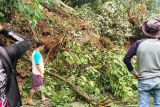 Kawasan Talamau Pasaman Barat longsor sebabkan akses terputus (Video)