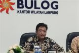 Bulog Lampung: Tidak ada kandungan beras sintetis pada beras SPHP