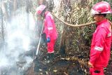 Hujan belum mampu padamkan kebakaran di lahan gambut tebal