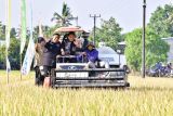 Gubernur Sulsel panen raya bersama petani Maros di tengah El Nino