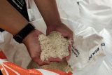 Penyaluran bantuan pangan beras tahap dua Lampung capai 12.895.130 kilogram