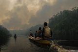 Kementerian LHK menyegel lahan konsesi 48 perusahaan terkait karhutla