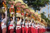 Sejumlah pemudi menjunjung Gebogan atau sesajen berisi kue, buah, bunga dan hiasan janur dalam pawai rangkaian HUT ke-14 Mangupura di Pusat Pemerintahan Kabupaten Badung, Bali, Jumat (20/10/2023). Kegiatan yang diikuti ratusan pemuda-pemudi yang merupakan perwakilan dari desa-desa se-Kabupaten Badung tersebut untuk meningkatkan kreativitas dan sebagai upaya pelestarian seni budaya. ANTARA FOTO/Nyoman Hendra Wibowo/wsj.