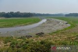 Kondisi Sungai Citarum yang mengering di Batujajar, Kabupaten Bandung Barat, Jawa Barat, Jumat (20/10/2023). Badan Metereologi, Klimatologi dan Geofisika (BMKG) menyatakan, fenomena alam El Nino pada tahun ini menyebabkan kemarau yang lebih kering dan panjang, serta berdampak pada produksi pertanian dan mengeringnya sumber-sumber air. ANTARA FOTO/Raisan Al Farisi/agr