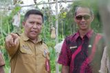 Kaltim percepat pengakuan Masyarakat Hukum Adat