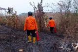 Wali Kota Semarang: Bakar ilalang dan sampah bisa kena sanksi  pidana