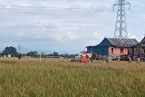 ICRAF bahas keberagaman pengetahuan pangan lokal di Sulawesi Selatan