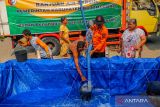 Petugas BPBD Bojonegoro mengisi wadah dengan air bersih saat pendistribusian bantuan air bersih di Bojonegoro, Jawa Timur, Kamis (26/10/2023). BPBD Bojonegoro telah menyalurkan sedikitnya 13 juta liter air bersih ke 109 desa yang terdampak kekeringan sejak Juli 2023. ANTARA Jatim/Muhammad Mada/zk