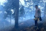 Kebakaran hutan di lereng Gunung Merbabu meluas ke puncak