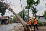 Angin kencang dan hujan lebat terjang empat desa