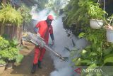 Petugas melakukan pengasapan atau fogging di pemukiman rumah warga Kampung Laksana, Kota Banda Aceh, Aceh, Senin (30/10/2023). Pemerintah  Kota Banda Aceh sejak sepekan terakhir gencar melakukan fogging terkait temuan  kasus demam berdarah dengue (DBD) di daerah itu dan hingga akhir Oktober 2023 tercatat sebanyak 197 kasus DBD dan dua orang di antaranya meninggal dunia. ANTARA FOTO/Ampelsa.