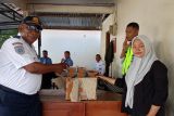 BKSDA Maluku serah terima satwa puluhan ekor kadal lidah biru