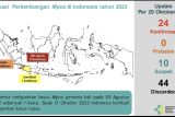 Kemenkes: Cacar monyet tersebar di Jakarta, Banten, dan Jawa Barat