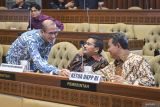 Revisi syarat capres-cawapres disetujui sesuai putusan MK