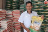 Bulog Kalteng survei gerai baru optimlisasi penyaluran beras Program SPHP