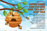 Pemprov Sumbar sebar stup lebah madu 