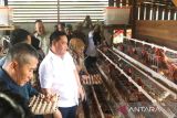 Perusahaan di Kotim didorong bantu usaha produktif masyarakat desa