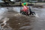 Hujan merata landa kota besar Indonesia
