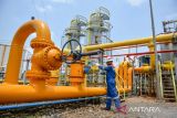 Operator produksi mengatur aliran gas dari fasilitas produksi gas menuju pipa jaringan gas konsumen di Stasiun Pengumpul Subang, PT Pertamina EP Subang Field, Kabupaten Subang, Jawa Barat, Kamis (2/11/2023). PT Pertamina EP Subang Field mencatat, pencapaian produksi gas hingga September 2023 mencapai 154,37 juta kaki kubik gas per hari serta minyak sebesar 3.557 barrel minyak per hari yang dijual ke konsumen gas area Jawa Barat dan kilang minyak Balongan, Kabupaten Indramayu. ANTARA FOTO/Raisan Al Farisi/agr
