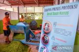 Mitra binaan CSR Pertamina EP Subang Field program Pemanfaatan Serat Olahan Daun Nanas Subang (PESONA Subang) mengekstraksi limbah daun nanas menjadi serat di Pusat Edukasi dan Pemasaran Pesona Subang di Desa Cikadu Kecamatan Cijambe, Kabupaten Subang, Jawa Barat, Jumat (3/11/2023). Pertamina EP Subang Field menjalankan program PESONA Subang yang memberdayakan warga Desa Cikadu untuk mengolah serat daun nanas menjadi berbagai produk Eco Fashion dengan mesin decolacel yang mampu mengurangi karbon emisi sebesar 302,95 ton CO2eq per tahun. ANTARA FOTO/Raisan Al Farisi/agr
