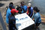 Sejumlah nelayan mengangkat media terumbu karang yang akan ditenggelamkan di pantai Bangsring, Banyuwangi, Jawa Timur, Kamis (2/11/2023). Program rehabilitasi ekosistem terumbu karang di zona konservasi pantai bangsring oleh PT Pelni bekerjasama dengan Universitas Brawijaya tersebut sebagai upaya mendukung upaya pengelolaan wilayah pesisir dan Laut yang berkelanjutan. Antara Jatim/Budi Candra Setya/zk.