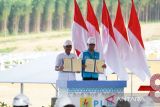 Kolaborasi PLN dan Otorita IKN siapkan Green National Capital City di IKN Nusantara