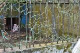 Seekor monyet ekor panjang (Macaca fascicularis) berada dalam kandang yang rusak di Medan Zoo, Sumatera Utara, Senin (6/11/2023). Kebun binatang yang dibangun tahun 1952 dan memiliki luas 30 hektare tersebut kini kondisinya terbengkalai dengan koleksi hewan yang semakin berkurang. ANTARA FOTO/Fransisco Carolio/tom.