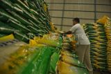 Pekerja mengecek beras di Gudang Bulog Baru (GBB) Sidomulyo di Kota Bengkulu, Bengkulu, Senin (6/11/2023). Perum Bulog Divre Bengkulu menjamin ketersediaan stok beras dapat memenuhi kebutuhan masyarakat dalam menyambut perayaan Natal dan Tahun Baru 2024 dengan stok beras yang ada di gudang sebanyak 2.000 ton dan 2.500 ton dalam tahap pengiriman. ANTARA FOTO/Muhammad Izfaldi/tom.