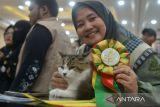 Seorang peserta memperlihatkan penghargaan juara satu seusai penjurian pada kegiatan International Cat Show di Banda Aceh, Aceh, Sabtu (11/11/2023). International Cat Show yang berlangsung hingga 12 November 2023 itu  diikuti sekitar seratusan kucing berbagai ras  dan juga mengelar sosialisasi undang-undang kekerasan terhadap hewan kepada peserta. ANTARA FOTO/Ampelsa.