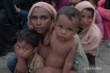 Sejumlah imigran etnis Rohingya beristirahat usai terdampar di Desa Pasi Beurandeh, Kecamatan Batee, Kabupaten Pidie, Aceh, Rabu (15/11/2023). Sebanyak 146 orang imigran etnis Rohingya yang terdiri dari 44 orang laki-laki, 61 orang perempuan dan 41 orang anak-anak terdampar di pantai Desa Pasi Beurandeh. ANTARA FOTO/Joni Saputra/wsj.