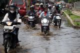 BMKG : Mayoritas daerah berpotensi alami hujan lebat