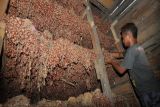 Pemda Sulteng yakin produksi bawang merah penuhi konsumsi daerah
