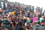 220 imigran Rohingya masuk ke perkampungan di Pidie, Aceh