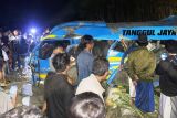 Elf tertabrak KA Probowangi di Lumajang, 11 tewas