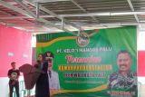 BPOM Palu dukung pemanfaatan kelor menjadi obat tradisional